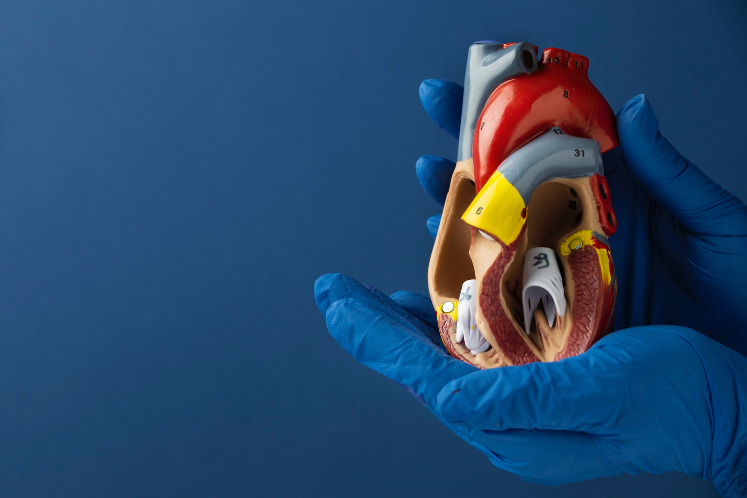 Organ Transplant Tourism: Risks, Ethics, and Realities